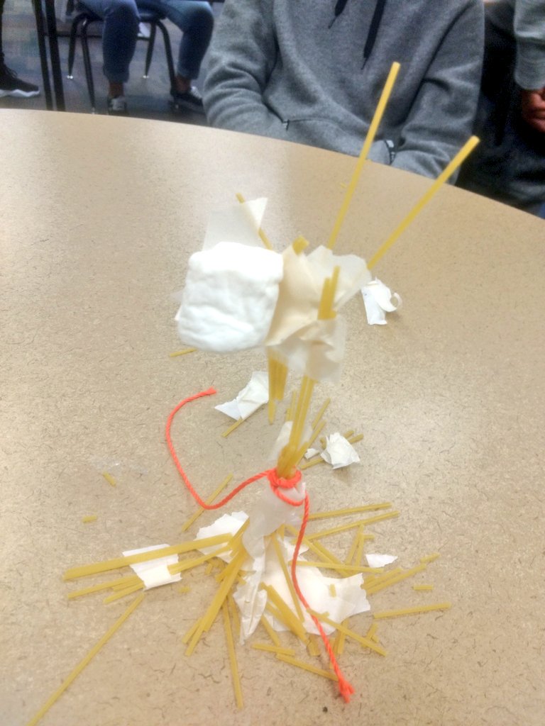 KathyConroy1's tweet image. This week in the Learning Commons: #robotturtles and #marshmallowtowerchallenge!
#beginnercoders
#learningcommons
