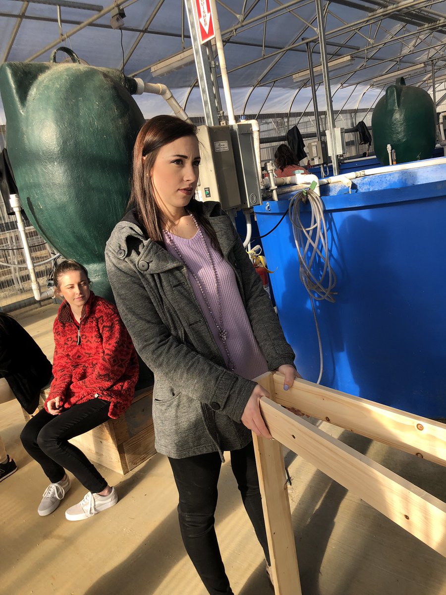miss_hamlin's tweet photo. Great things happening in the greenhouse yesterday! My students were given a problem and designed a solution! Look at the pictures to see my thinking face as my kids were explaining their plans! 😂☺️ #problemsolvers #engineeranddesign @MunfordHigh @TCBOE #STEM https://t.co/GFcCRXYIYb