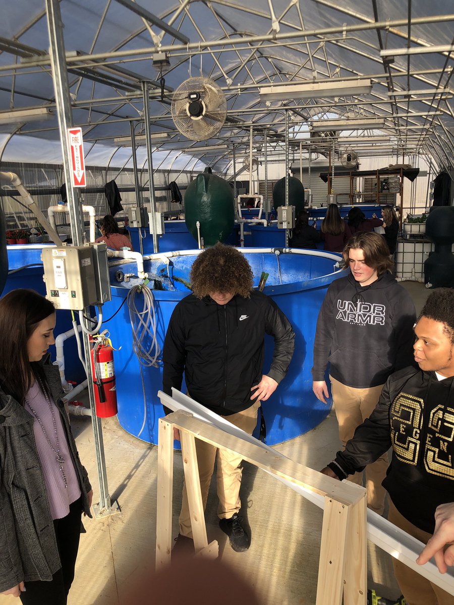miss_hamlin's tweet photo. Great things happening in the greenhouse yesterday! My students were given a problem and designed a solution! Look at the pictures to see my thinking face as my kids were explaining their plans! 😂☺️ #problemsolvers #engineeranddesign @MunfordHigh @TCBOE #STEM https://t.co/GFcCRXYIYb