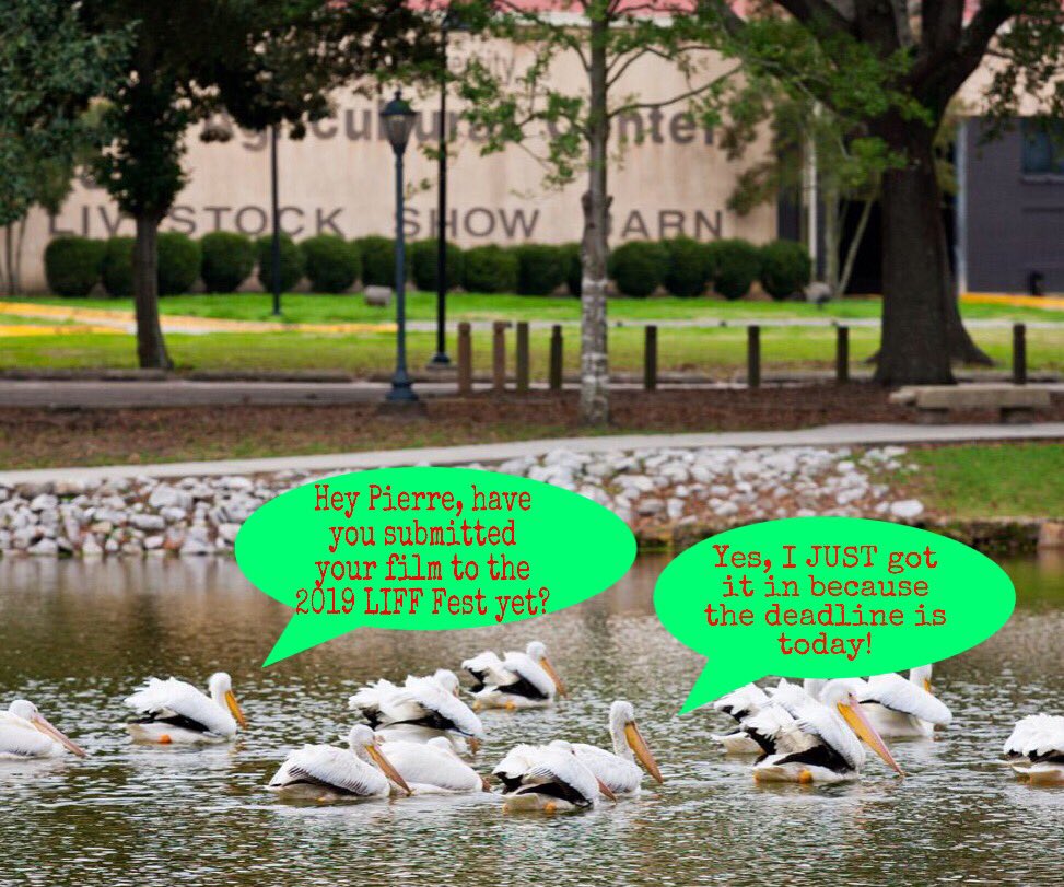 There’s only a few hours left!

SUBMIT YOUR FILM NOW via <a href="/FilmFreeway/">FilmFreeway</a> !!!

filmfreeway.com/TheLouisianaIn…

#liff #filmfestival #louisianafilm #louisianafilmsociety #batonrouge #225batonrouge #directors #cinematography #womeninfilm #womenandhollywood #womendirectors #documentaryfilm #vr