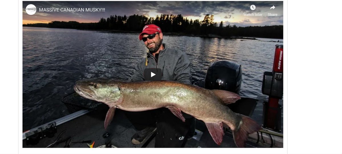 Videos of #Fishing are always great to watch, especially when we're stuck inside.  Here's a list of our favorite #Canada fishing videos posted in 2018 - any missed ones that are good? mycanadafishingtrip.com/blog/view/favo…
