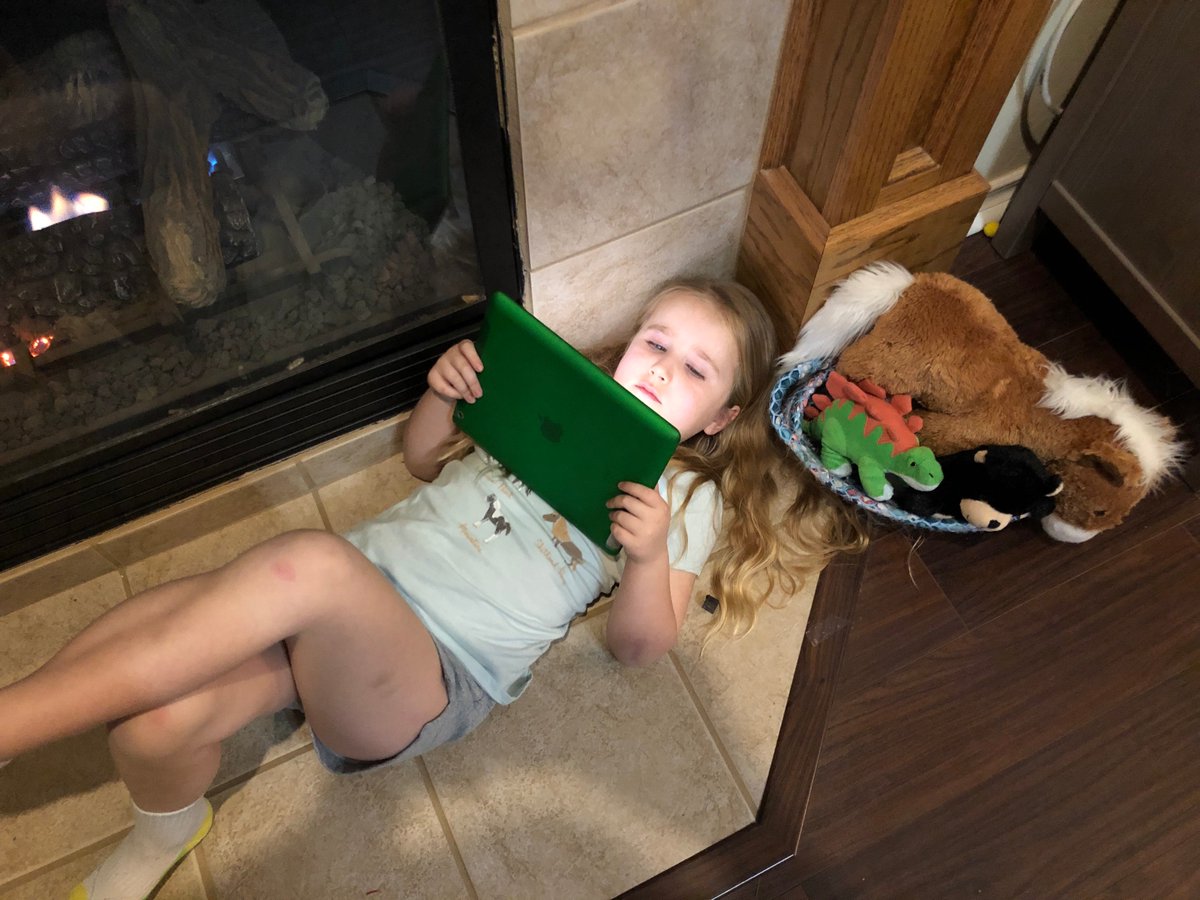 Kalenahanke's tweet photo. @Jenna_Marbles my 6 year old just requested a "Jenna Marbles photo shoot".  Notice her Kermit, Marbles and Peach.  She walks around the house all day carrying around the dogs and yelling "Julien!" @juliensolomita https://t.co/idDlP0558d