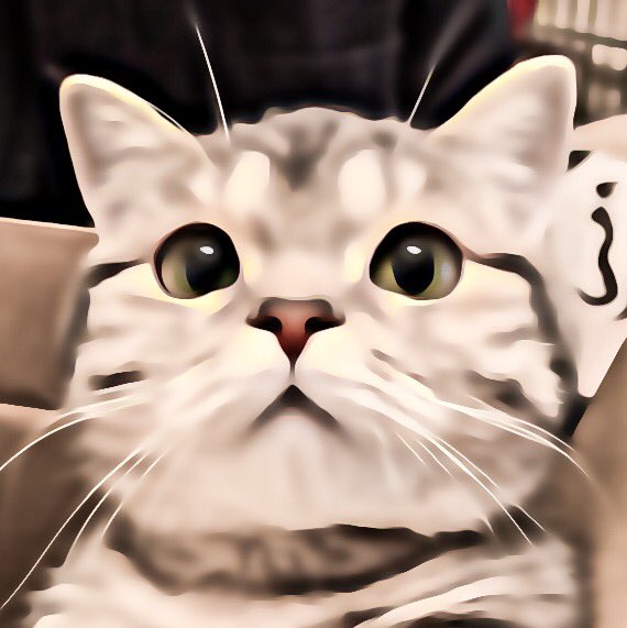 pbxjeno's tweet photo. @catfilterx for @renjunfilterx #NewProfilePic https://t.co/ZMg5y907M4
