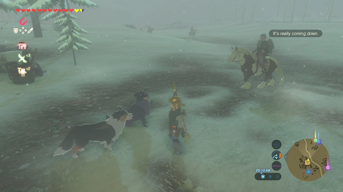 dami_rz's tweet photo. #BreathoftheWild #NintendoSwitch https://t.co/rA5bc9mJVL