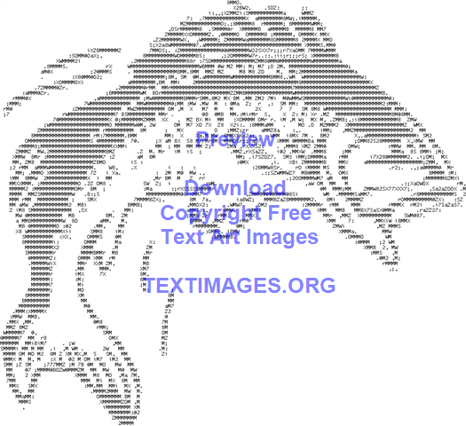 best bass fishing reel 2016 The Best Spinning Reels for Bass Anglers: Spinning Reel Buyers Guide