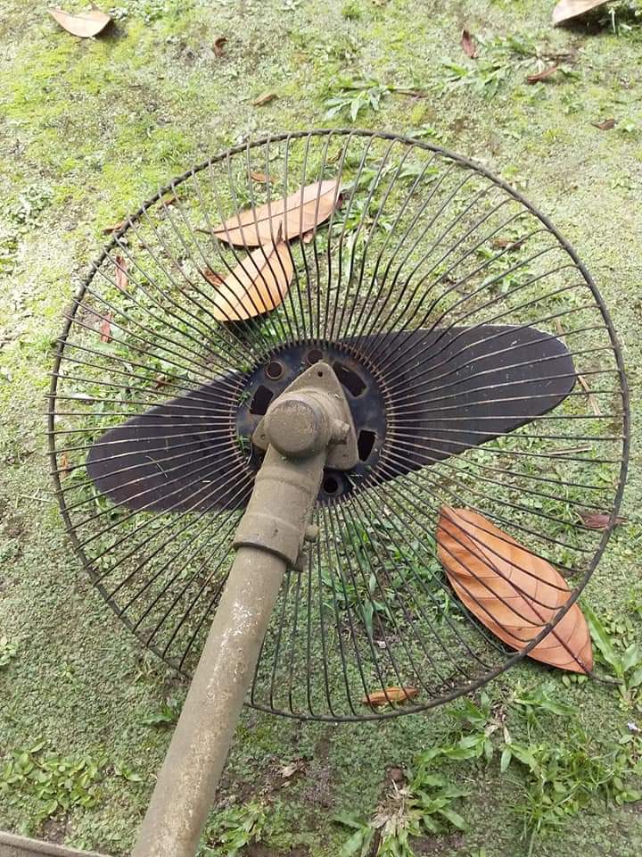 Bg328 Senco Brush Cutter Mesin Rumput 2 Stroke Gesoline Shopee Malaysia