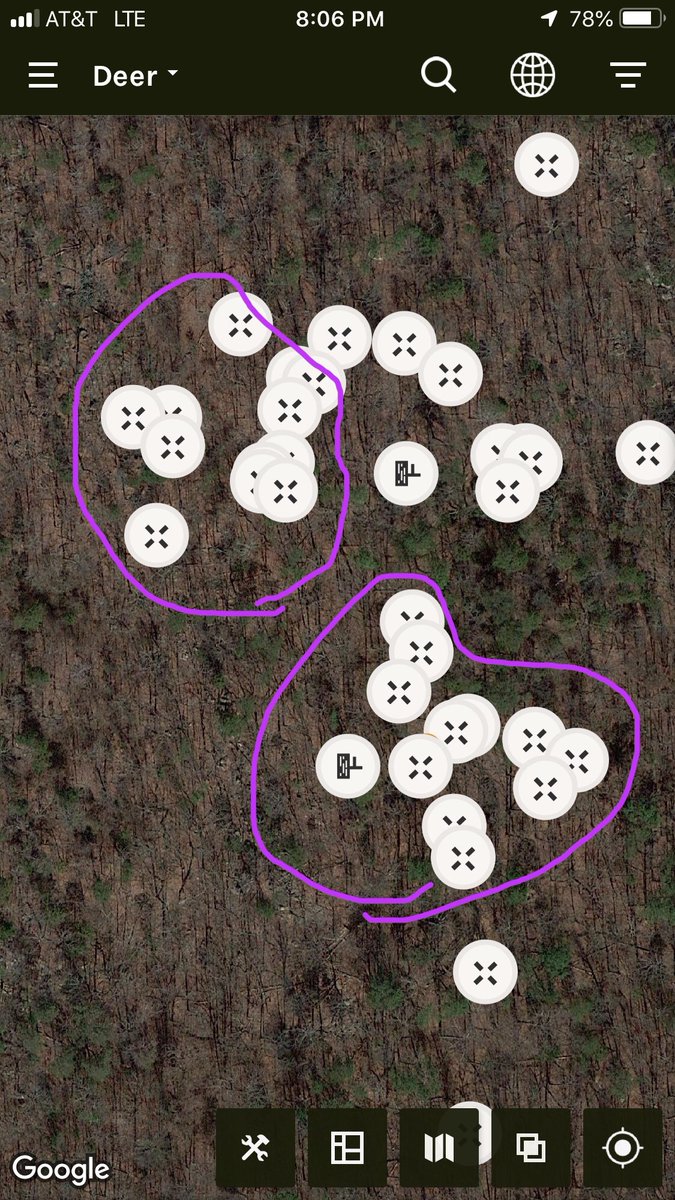 krisfrombama_xx's tweet photo. This was all #fresh big 😳#bucksign I found today where we hunt the #mountainridge #bucks & where I hope to run into #Superman 🦌again tomorrow morning before the rain moves in; the yellow is the pine 🌲 thicket corner finger ridge; green notes downhill, purple new sign. #RutIsOn https://t.co/qLMdtXLdWB