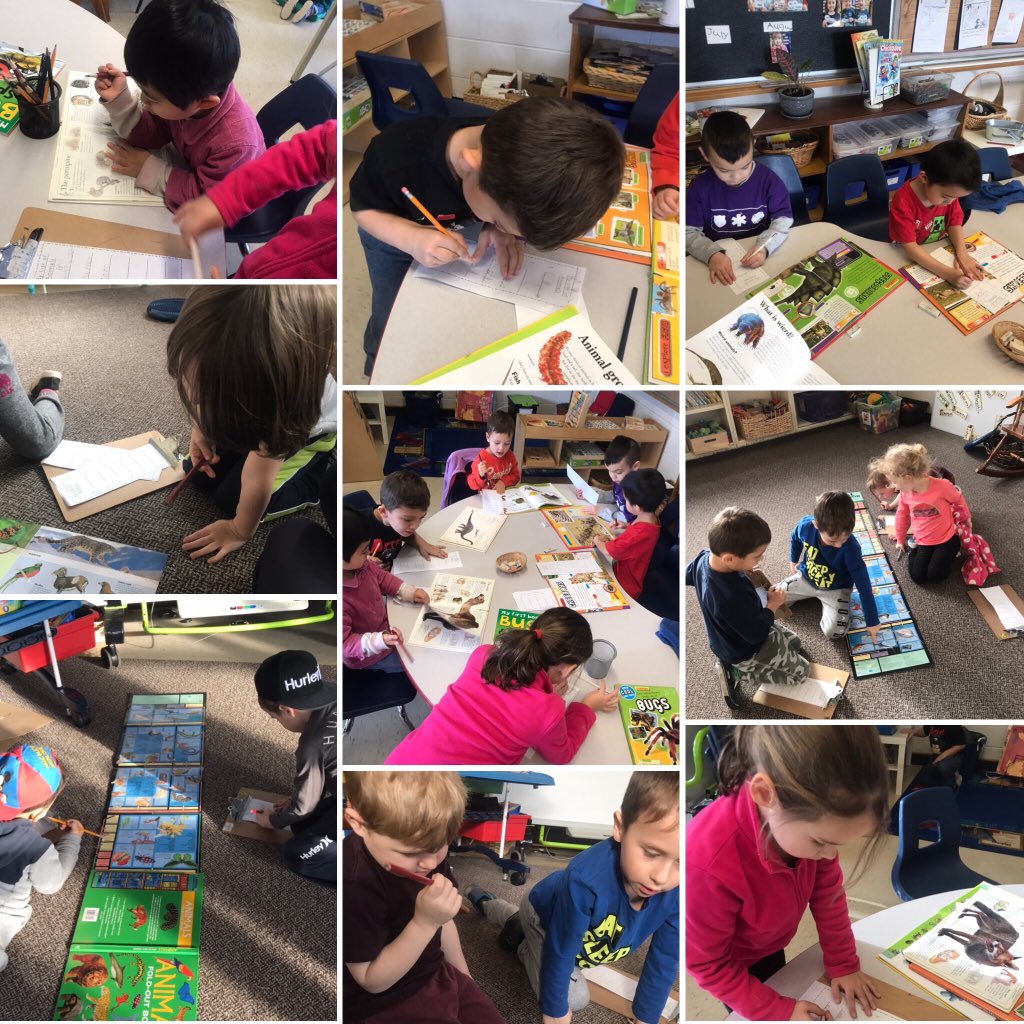 When my “Super Cool Collection of Animal Books!” sparks a love for writing in the most stubborn of writers!  Today we wrote lists of some super cool animals we found in different books #kindergarten #earlywriting #interestbasedlearning