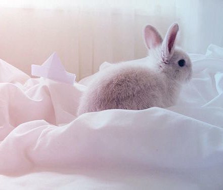 " Ι can'т conтrol мy eмoтιonѕ wнen
            ι'м ѕтandιng rιgнт ιn ғronт oғ yoυ. "

.

              𝒷𝓊𝓃𝓃𝓎 𝑜𝒸

               𝑜𝓂𝑒𝑔𝒶 | (𝓃)𝓈𝒻𝓌

               𝒹𝑒𝓉𝒶𝒾𝓁𝑒𝒹 | 𝓁𝒾𝓉

.

       ♥︎ / ↻