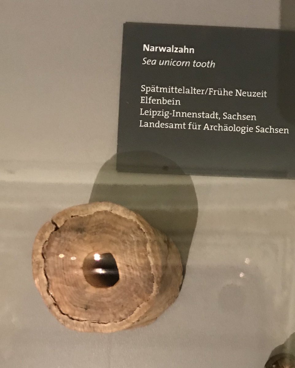 jessglanz's tweet photo. #badtranslation or #besttranslation? Spotted this at a fantastic exhibition a few weeks ago. Who wouldn't want to believe in sea unicorns? ("Please, 'narwhal' is fine. 'Sea Unicorn' is my D&D character.") #xl8 https://t.co/sM076HkTK2