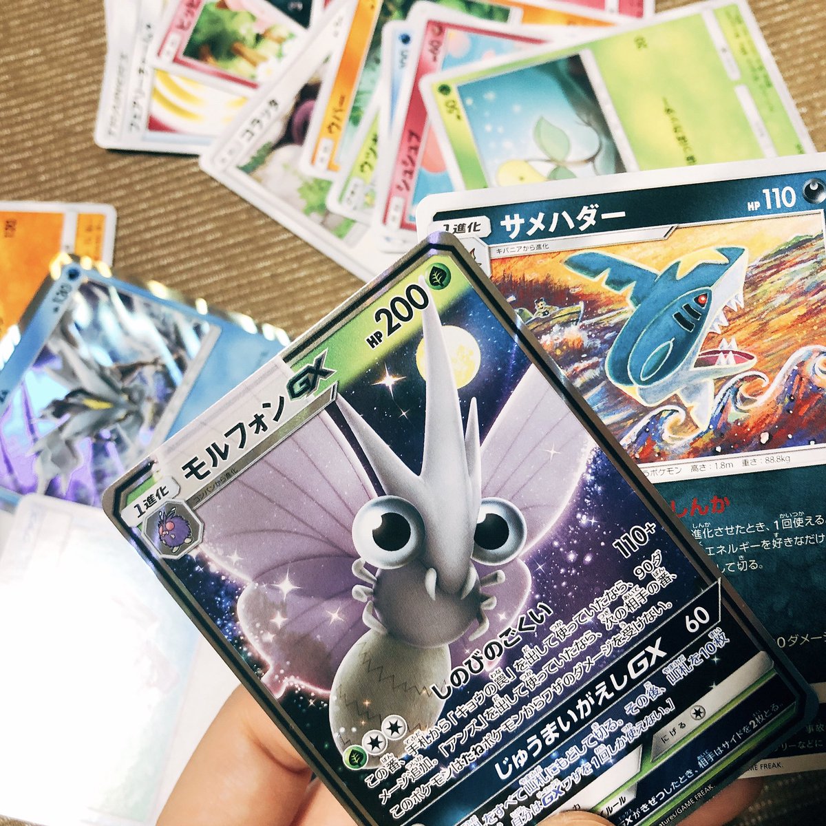 海豹 Lov8e Twitter