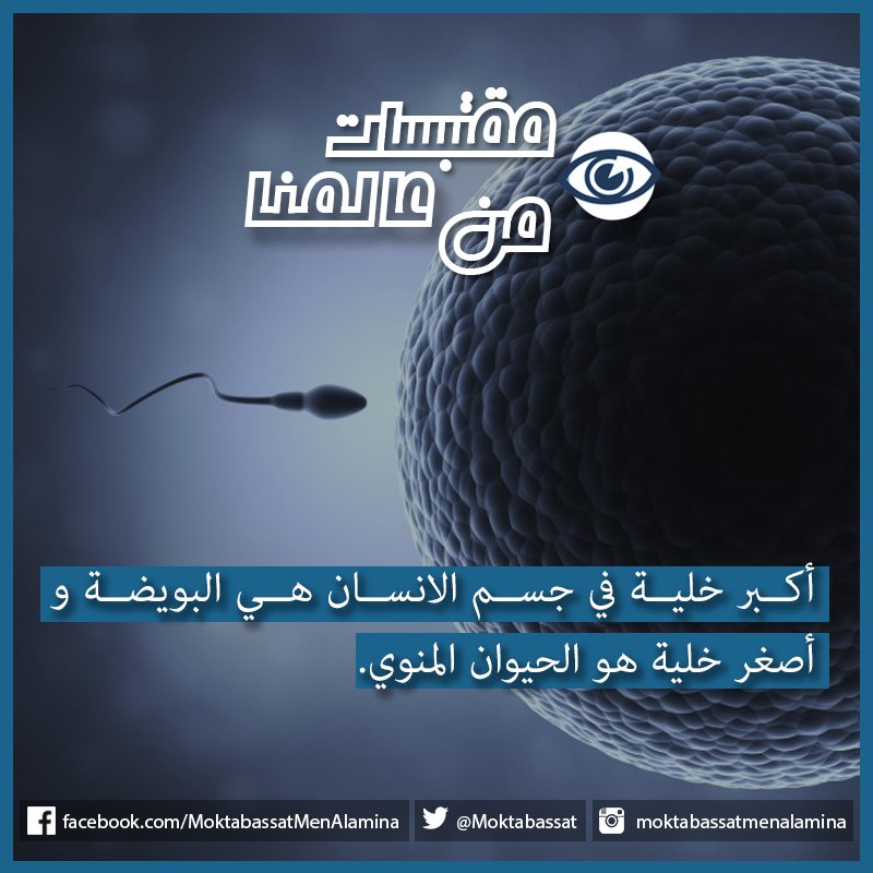 Moktabassat's tweet photo. #مقتبسات_من_عالمنا #معلومة_غريبة #معلومات_غريبة #معلومة #حقائق_علمية #فائدة #هل_تعلم #عالم_المعرفة #معلومات #معلومات_عامة_تهمك #معلومات_جديدة #معلومة_نفسية #معلومة_جديدة #هل_تعلم #do_you_know #ثقف_نفسك #ثقافة #تثقيف #علم #منشورات #متع_عقلك #عالم_المعرفة #طب #ثقافة #دراس�� https://t.co/GH7PP4zIdu