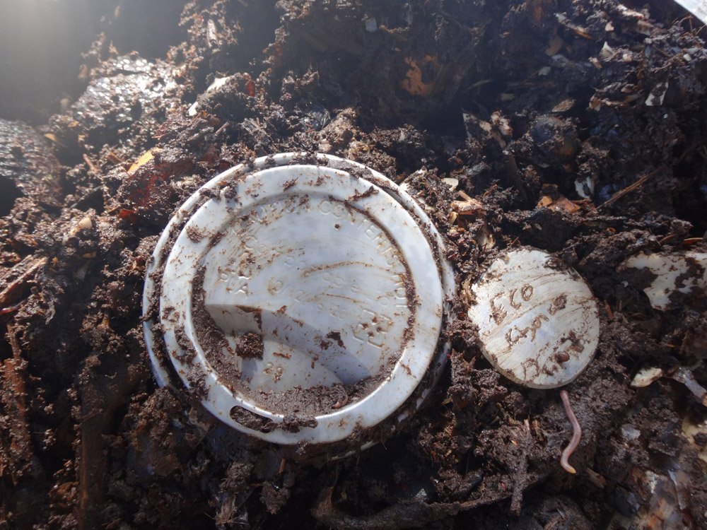 hotgirlscooking's tweet photo. We put 3 types of #NZ's #compostable #coffeecups &amp; lids into our #wormfarm. 11 months later we dug through our organic material; this is what we found among the #eggshells

If #compostablelids do not break down in our worm farm are they breaking down in the #rubbishdump? https://t.co/fx5cBWQozF