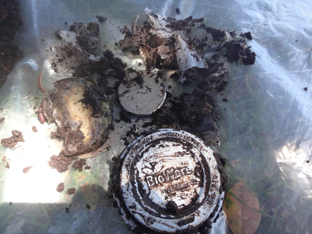 hotgirlscooking's tweet photo. We put 3 types of #NZ's #compostable #coffeecups &amp; lids into our #wormfarm. 11 months later we dug through our organic material; this is what we found among the #eggshells

If #compostablelids do not break down in our worm farm are they breaking down in the #rubbishdump? https://t.co/fx5cBWQozF