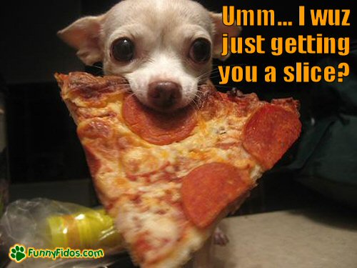 projectpie's tweet image. Friday Funday! Such a helpful friend!
#ProjectPie #WeDontLikeToShare