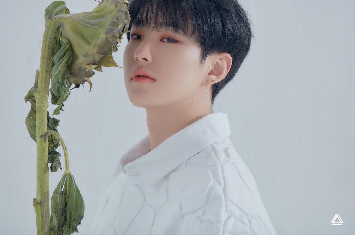 svtaestheticc_'s tweet photo. ⛅️ˢᴱᵛᴱᴺᵀᴱᴱᴺ  ᴵˢ  ᴹᵞ  ˢᵁᴺˢᴴᴵᴺᴱ.  ᴼᴴ  ᴴᴼᵂ  ᵀᴴᴱᵞ  ᴮᴿᴵᴺᴳ  ᴴᴬᴾᴾᴵᴺᴱˢˢ  &amp;  ᴱˣᶜᴵᵀᴱᴹᴱᴺᵀ  ᵀᴼ  ᴹᵞ  ᴸᴵᶠᴱ. ✨

#SEVENTEEN #세븐틴 #우지 #hoshi #woozi #soonhoon #pastel #aesthetic @pledis_17

☁️☁️☁️☁️☁️☁️☁️☁️☁️☁️☁️☁️☁️☁️☁️ https://t.co/u7Pij2poIB