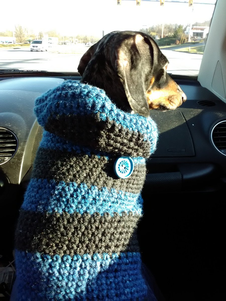 laceinva's tweet photo. Preparing for impending snow and ensuing mania in Virginia.. She NEEDED a hoodie, okay? ๐
#loopylilys #dogclothes #handmade #crochet #hoodies https://t.co/eIy2h70Cdb