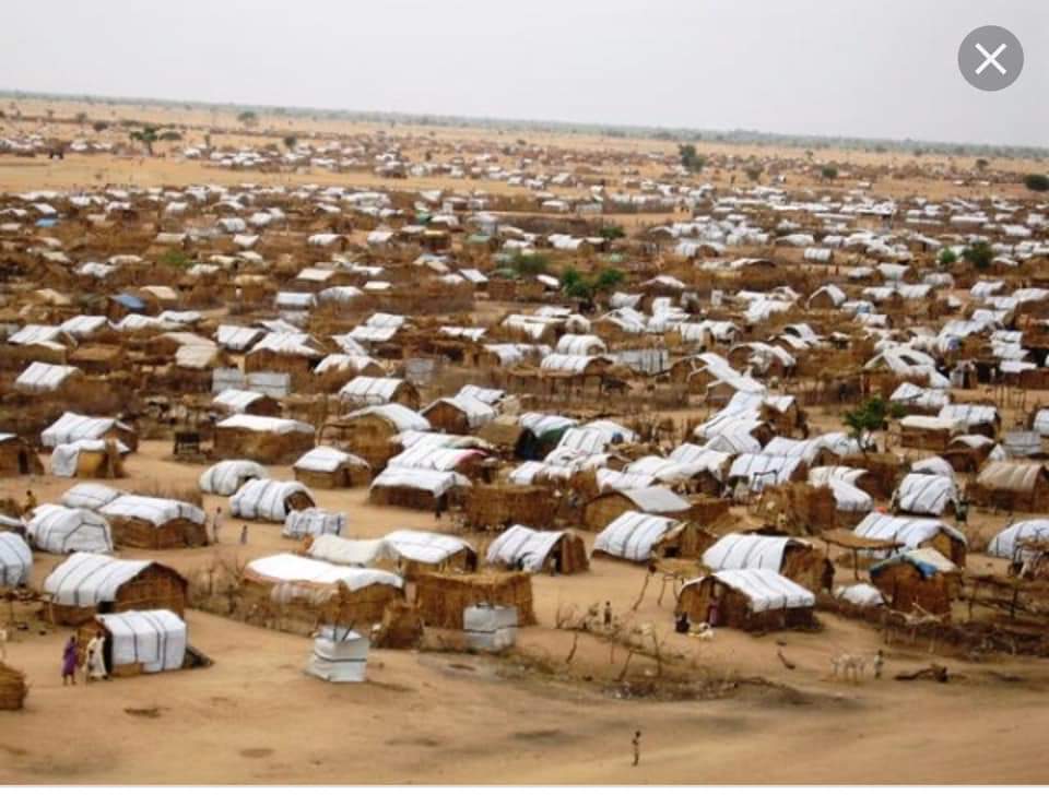 Abubaker  Elamin tweet media