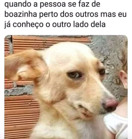 SouVideos's tweet photo. #meme #memes #memebrasil #zueira #fofocadosartistas #grauecorte #sambrasil #zueiraboa #brincadeiraboa #memebrasileiro #zoeiras #zoeira #mesegueai #comediante #comédia #zueirasemfim #memesfodas #humorizando #humor😂 #humorcombr_ #piadas #piadasinternas #piadassemgraça #humor https://t.co/0ogPFxbSjY