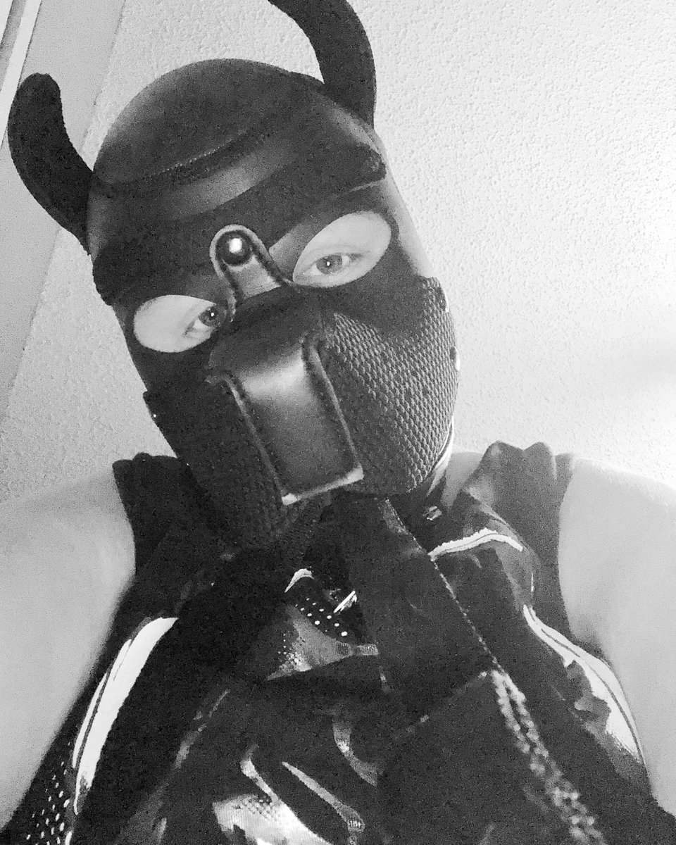 Shadowpup6's tweet photo. You think You can handle this dog? go ahead and try it. loyalty is given, not taken. #puppyplay #sfwpetplay #tumblrrefugee #pupplay #tuffpup https://t.co/NG5nfDplGq