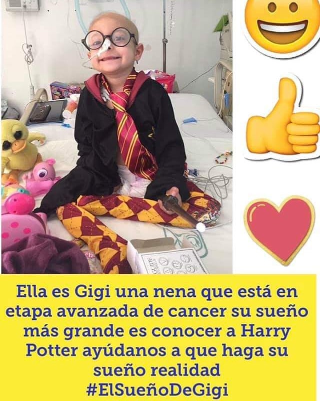soylovelu's tweet photo. #elsuenodeGigi #DanielRadcliffe Please, say hello to Gigi 🙏#HarryPotter https://t.co/UTqDSG0emP