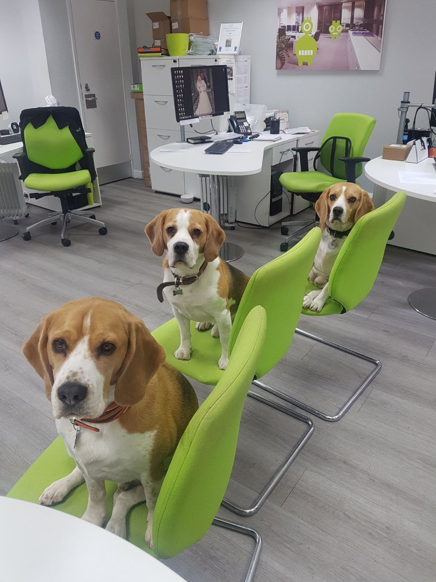 BuzzDoggies's tweet photo. Have a great weekend from the Buzz Doggies #buzzdoggies https://t.co/I2al1NeM7S