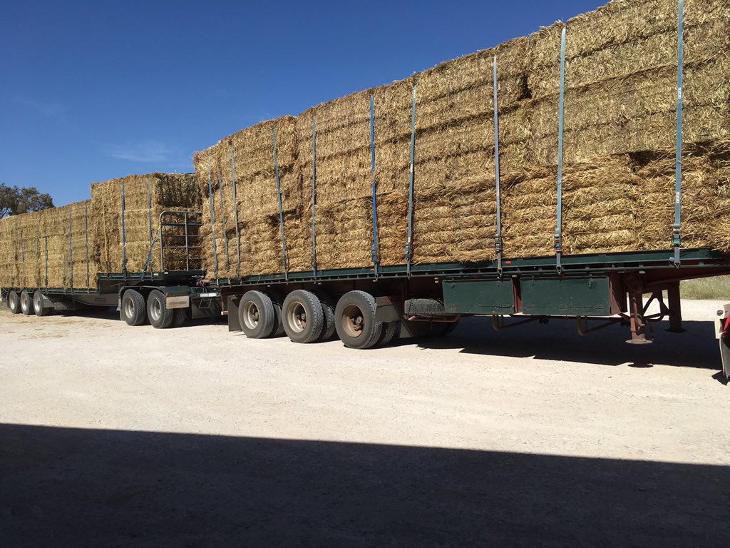 2 days of harvest to go and u want to load hay. Shearers will probably want to start Monday #norestforthewicked
