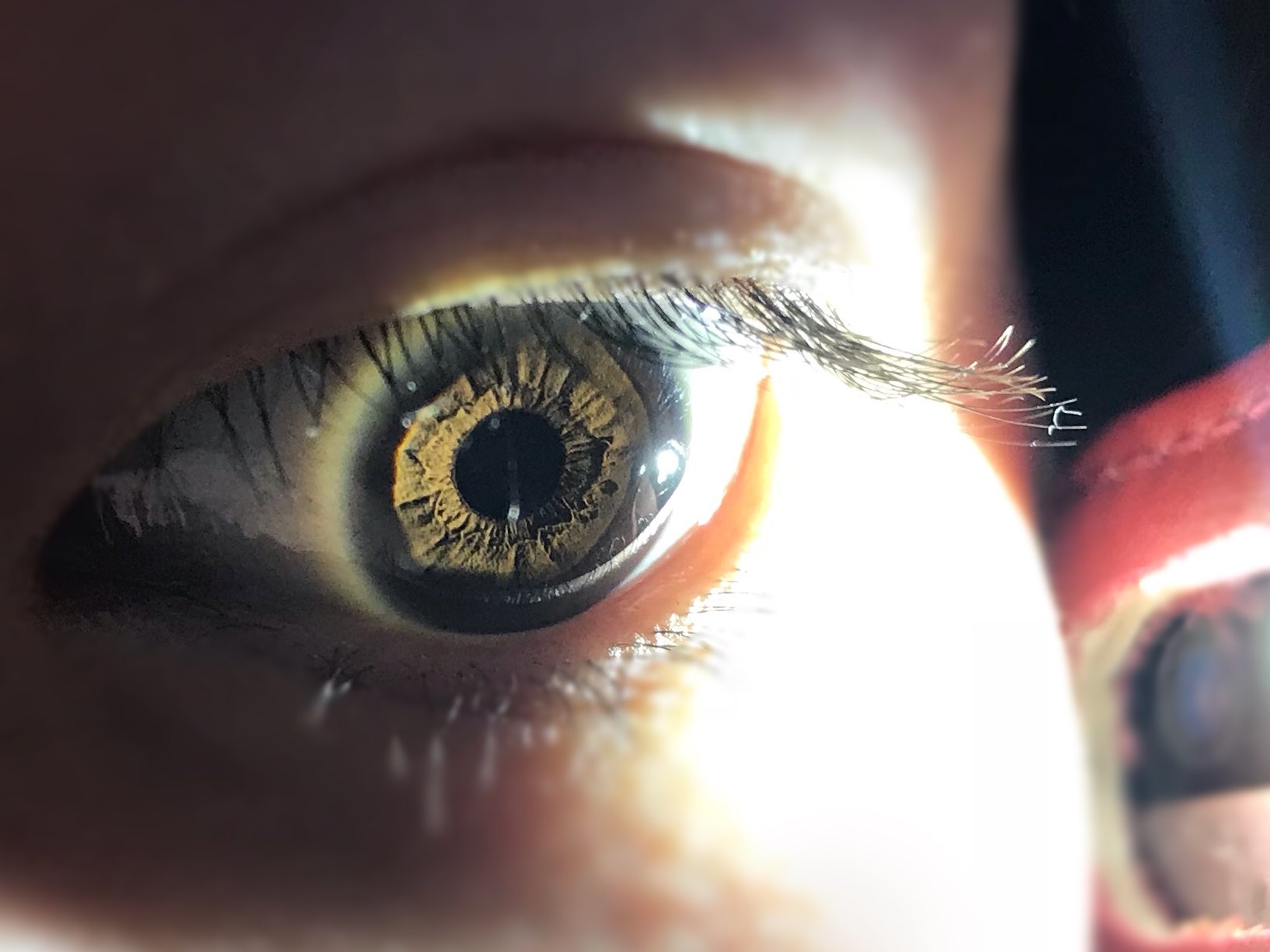 みくそ 虹彩 Eye 眼 瞳 みくそ 虹彩 Eye 眼 瞳