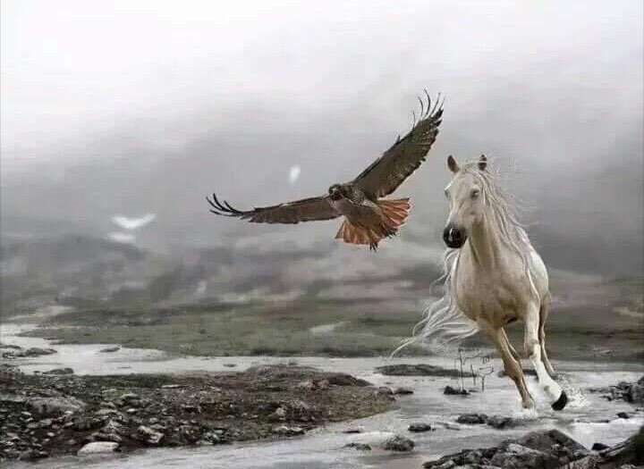ghhho's tweet photo. اهديت لك قلبي على كف يمناك 
غيرك تمنى بس خابت ضنونه 

في خاطري اسئلك من بعد فرقاك 
ليه الوفي دايم جزاه الخيانه؟
🕊 https://t.co/YUvjgUhZzL