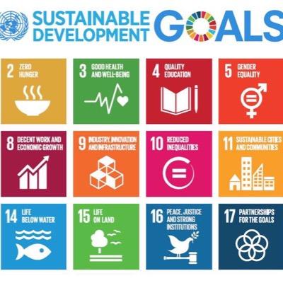 OnyekaNwigwe's tweet photo. If you're a youth and don't know anything about the #SDGs , what else will you know? Well, its not late https://t.co/WWDjS36QWp