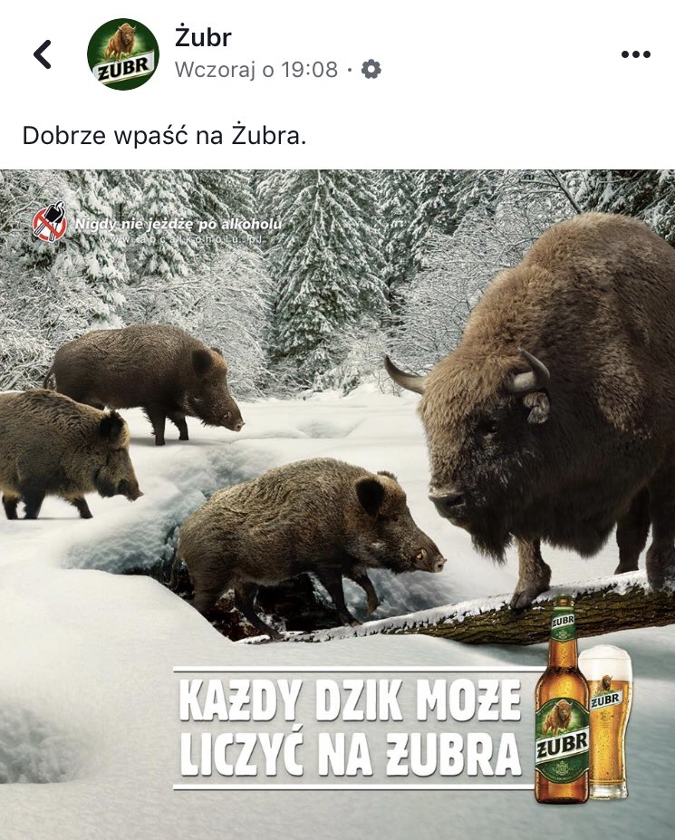 ASztygowska's tweet photo. Żubr umie w internety 😍 #Dzik #DzikGate https://t.co/9rKPA52z5m