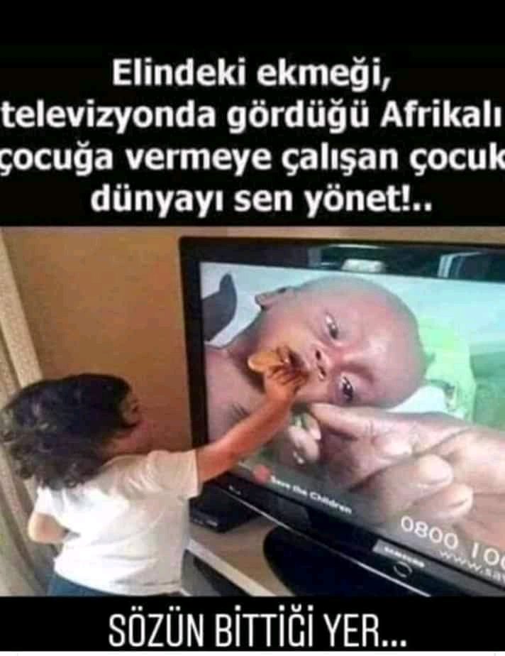 alitoglu12's tweet image. 