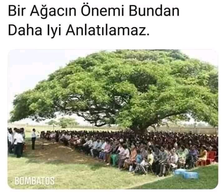 alitoglu12's tweet image. 