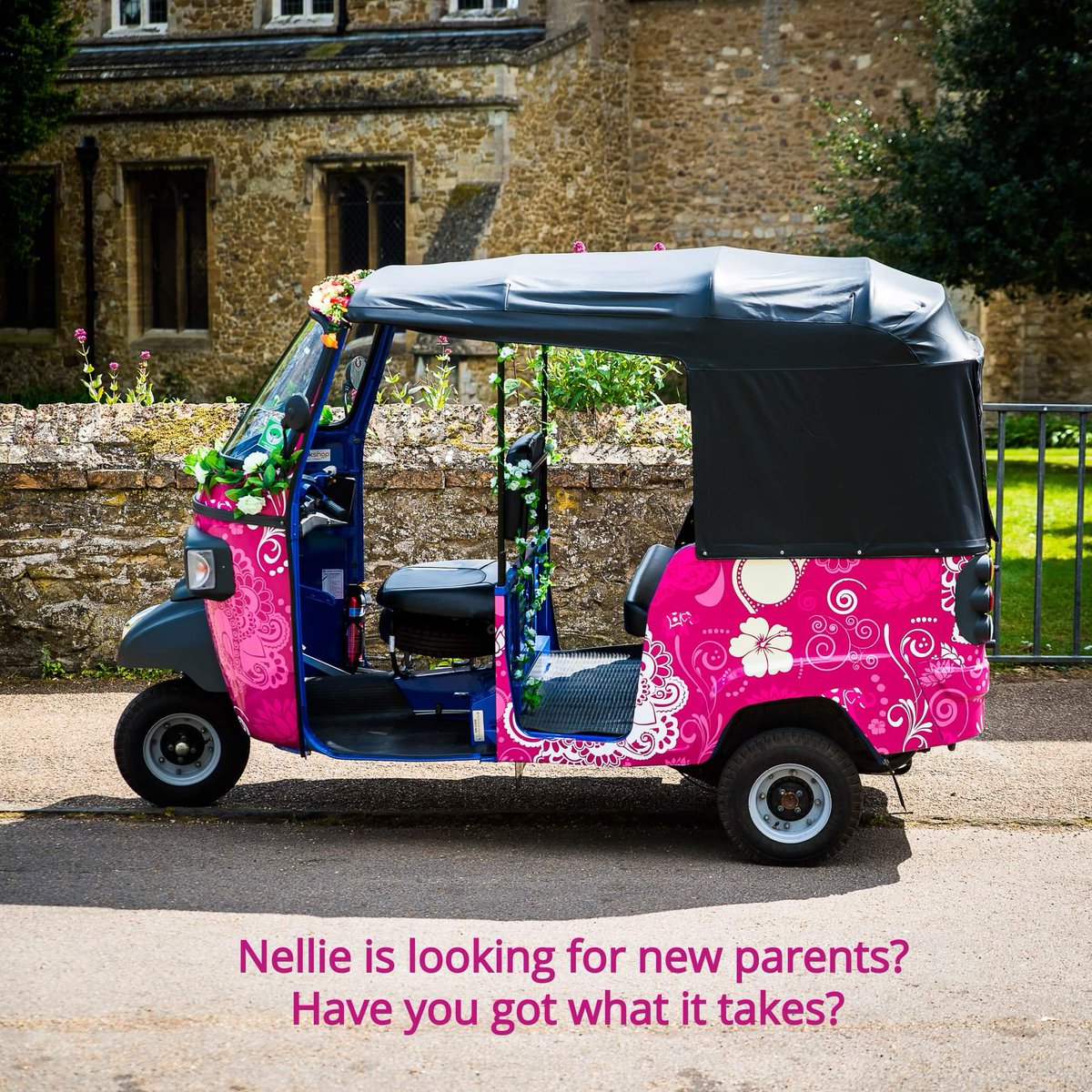 STOP PRESS - Nellie from Ely Tuk Tuks is looking for new parents.
If you think you have what it takes to provide our Nellie with the home &amp; lifestyle she deserves, then please get in touch re her purchase. Nellie's trailer is also for sale.
Please get in touch.