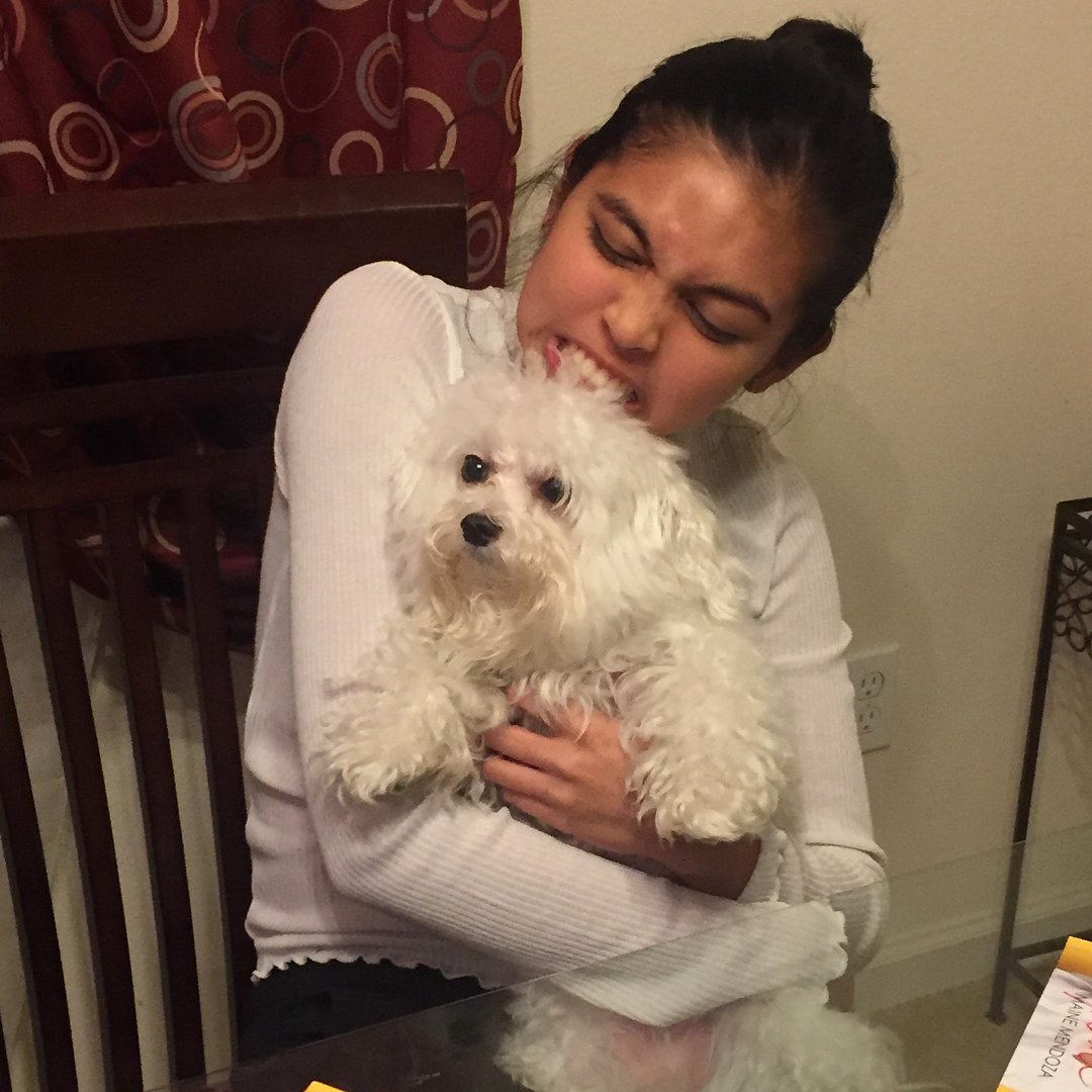 RehamDais's tweet photo. @mainedcm Naka abang na ang mga Doggies mo meng hehe excited na sila to see u 🐶 😍😘

#DADDYSGURLsusPETsa 
@mainedcm #MaineMendoza https://t.co/7AxX4FHo1f