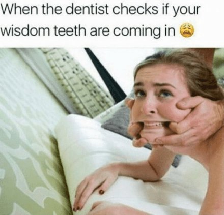 iDankMemeLord's tweet photo. https://t.co/vXB6FFdmCU