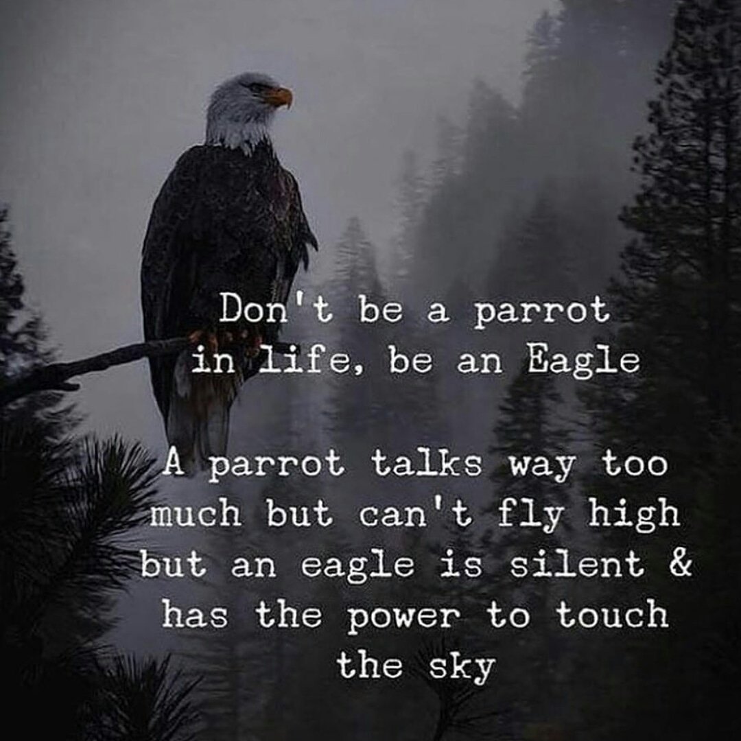 PowerfulOfLife1's tweet photo. #step #successquotes #workshop #biz #motivation #hustle #businesswoman #money #entrepreneur #startuplife #entrepreneurlifestyle #education #startup #businessman #build #entrepreneurship #start #learn #businessowners #businesstrip #motivated #company #businessowner #ambition https://t.co/vlp7coM3wP