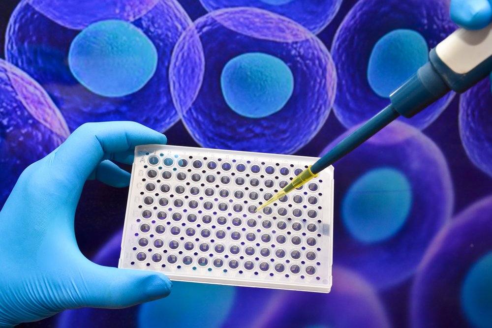 snehakumar389's tweet photo. #3DCellCulture Market size is projected to be valued $5 Billion by 2025; with a CAGR of 23.3% from 2017 to 2025.
Get Sample Report @ https://t.co/b0bJdLVtcd
#Medical-care https://t.co/Dnyu1UlN89