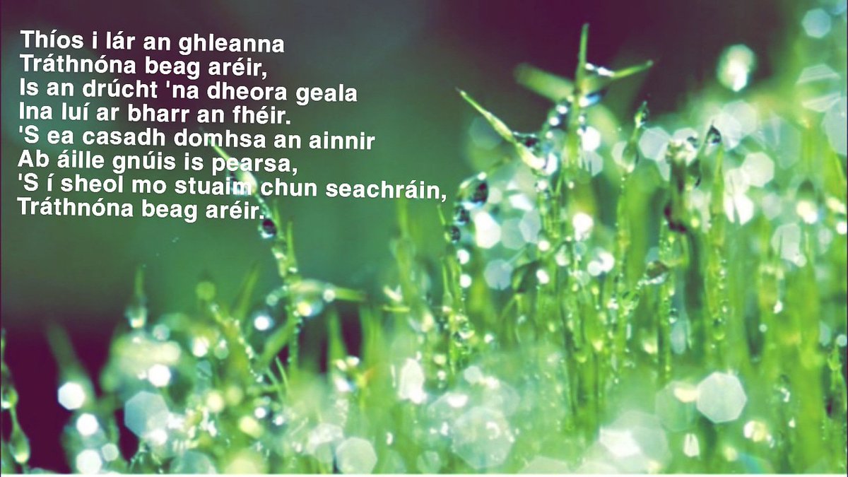 GaeilgeP's tweet photo. Tráthnóna Beag Aréir #áilleacht #mariamccool #grá #gaeilgelepád #gaeilge #glp https://t.co/YSh1wByWle