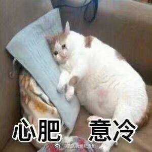 考研中饭量超大 tweet media