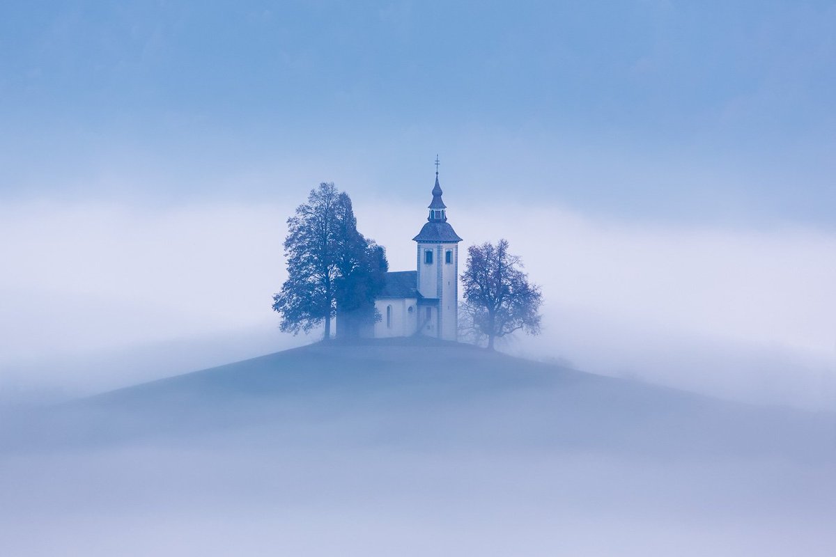 Canon Россия tweet media