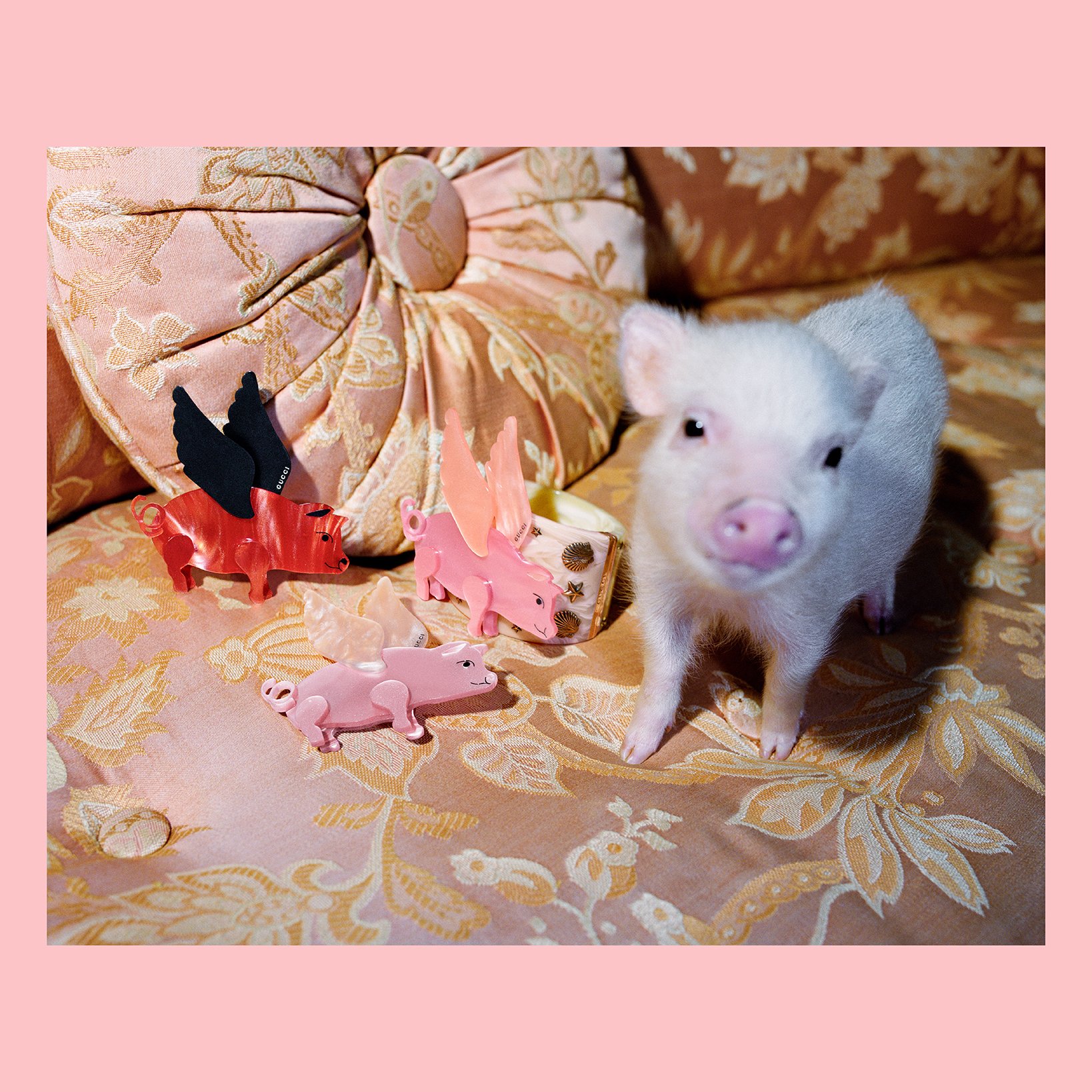 Flying pig brooch clearance