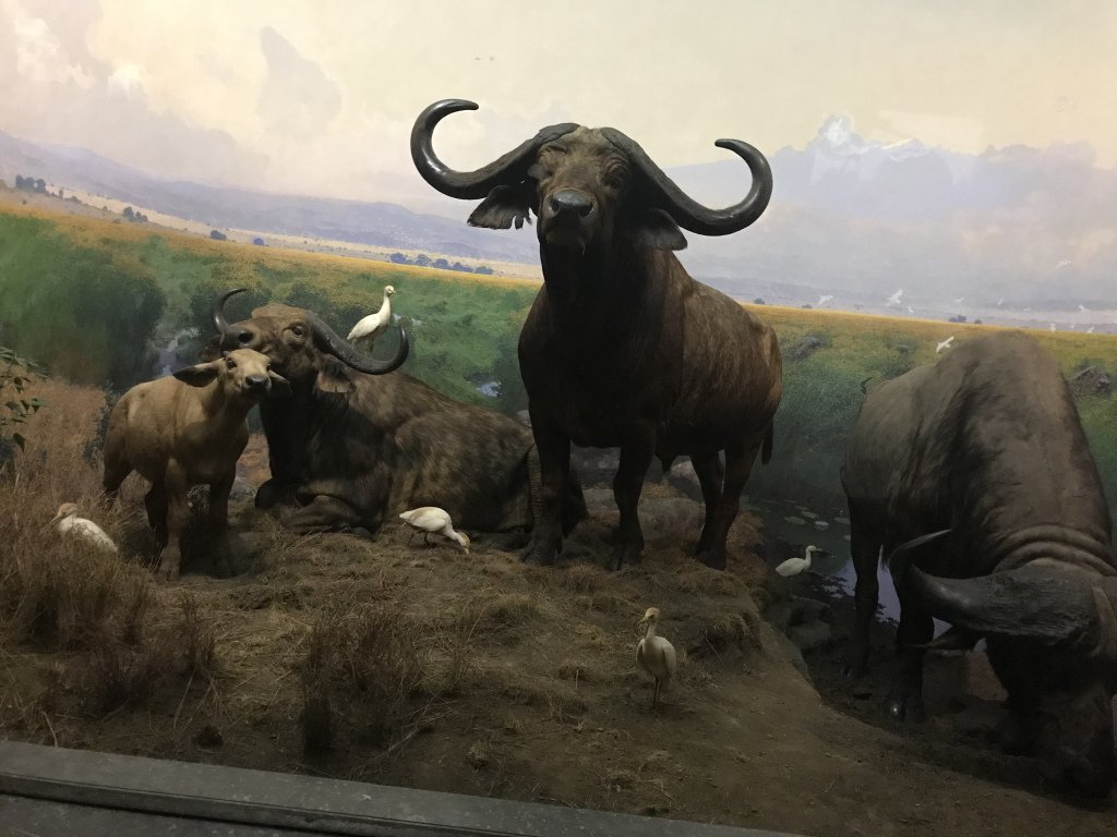 hollybethcassin's tweet photo. Visiting New York🗽 day 4.. #bloggerswanted #followtrain #bbloggers #bloggerstribe #bloggerfollowtrain #BloggerLoveShare #bloggerssparkle #BloggingGals #bloggersunveiled #BloggerBabesRT #BloggerLoveShare #bloggerstribe #bloggerclan… https://t.co/q4djilY4Jy https://t.co/PhgCzAhMHS