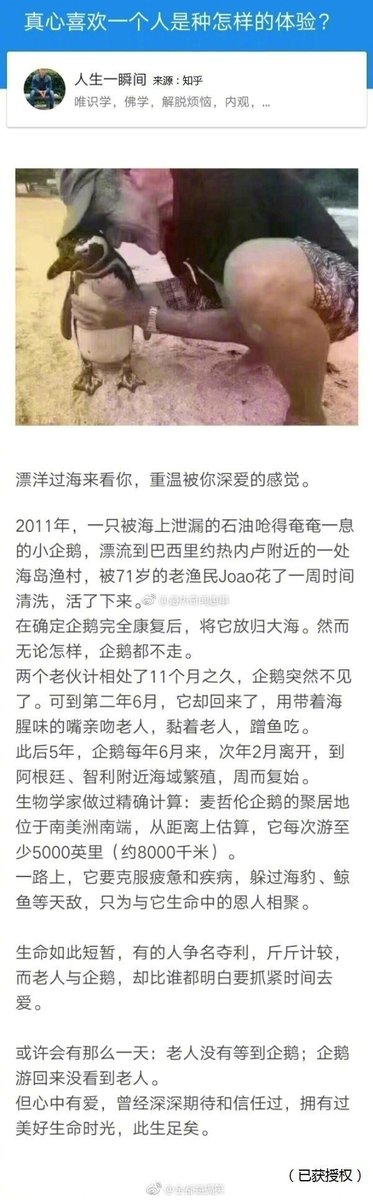 漂洋过海来看你 【搞笑】