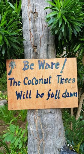 ContentCastle's tweet image. Do you need to perfect your writing, polish your editing, and refine your grammar acumen?
Apply to our three month writers bootcamp today!
contentcastle.asia

#digitalnomad #contentwriting #thailand #kohsamui