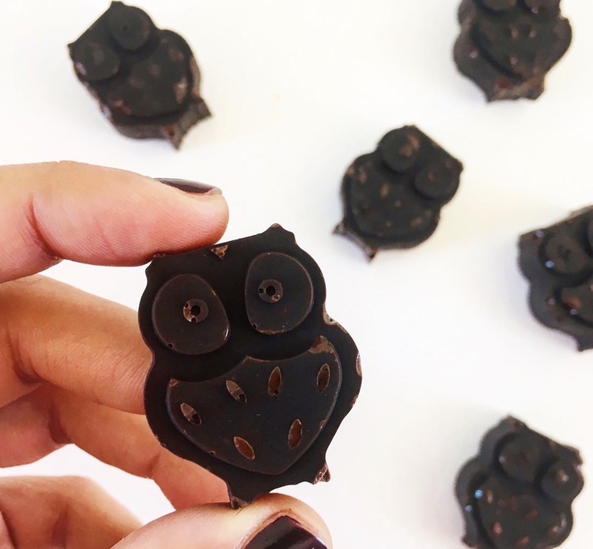 Aren’t these a Hoot !? 😂🤣
#badowljokes 😫 

These great chocolates 🍫 🦉 made with #jeevacoconutoil made #vegan for #Veganuary2019 🌱