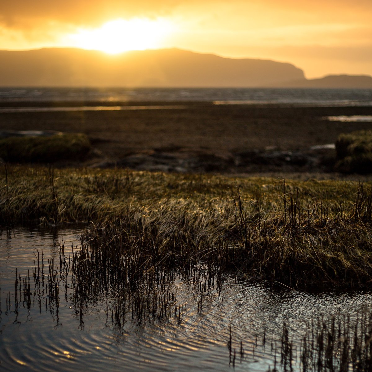 Beautiful #Mull <a href="/Argyll_IslesApp/">Argyll and the Isles</a> <a href="/VisitMull_Iona/">Visit Mull & Iona</a> <a href="/VisitScotland/">VisitScotland</a>