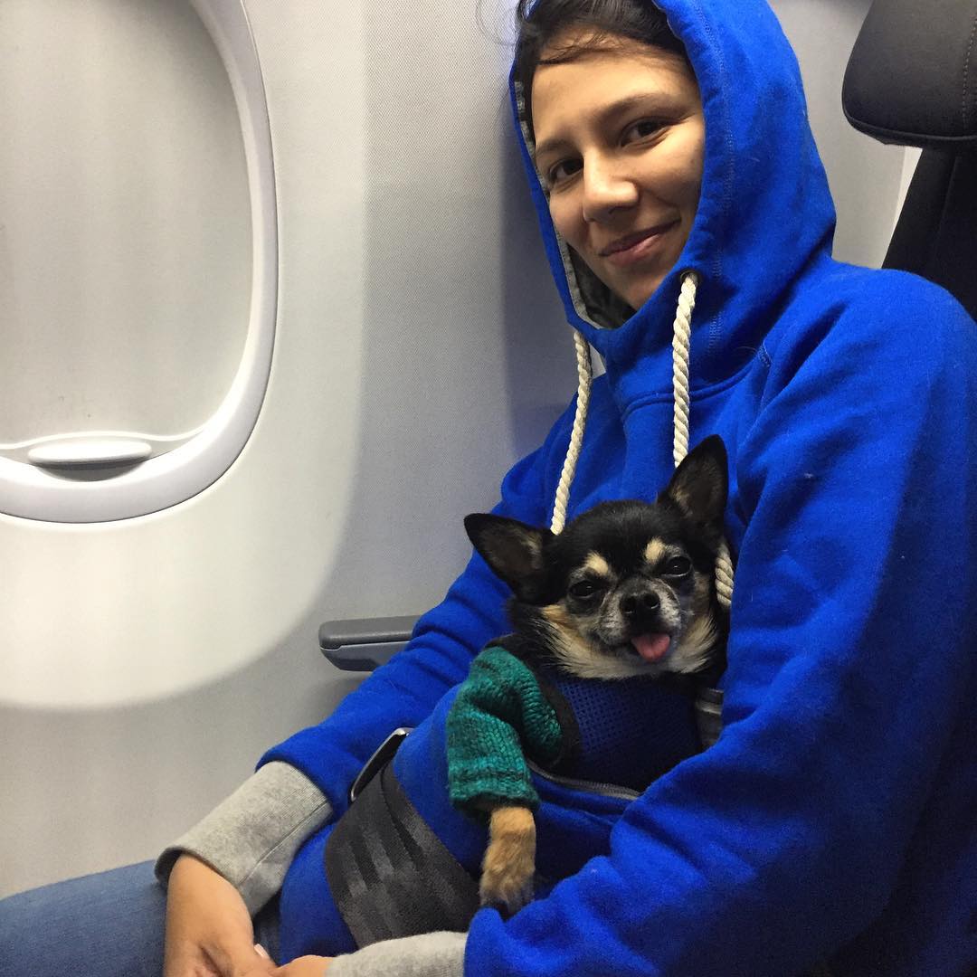 roodiewear's tweet photo. Do you like to keep warm during flights? Myself, it's a must to have
long pants and a long shirt even when flying somewhere warm!
@marcelothechi seems to be "on board" Also with no pet, the pouch is perfect for your passport, phone, some money,
headphones #90daycontentchallenge https://t.co/CA0iHUAH2W