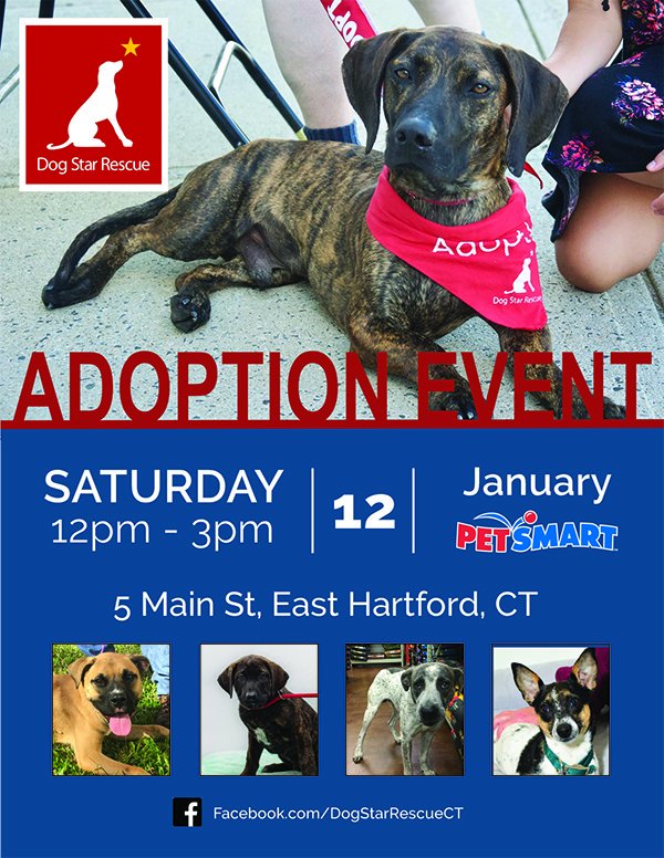 Pet Rescue East Hartford Ct - The W Guide