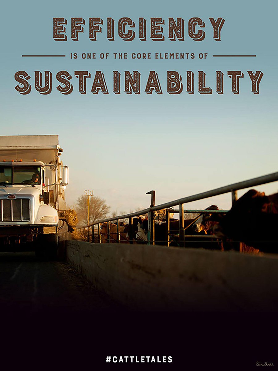 CattleTales's tweet image. Compared to 1975, greenhouse gas emissions for beef production in the U.S. are 31% lower today - that's real savings, while producing more beef!
#SustainableSaturday #CattleTales